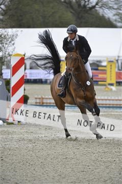 139644_abo_03__AB15046.JPG