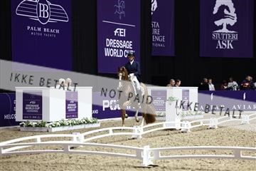 182194_avh_06_3552.JPG