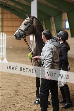 139265_kl_1_8M1Q6193.JPG
