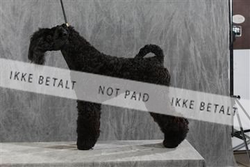 128239_le_kort_ 01_0330.JPG