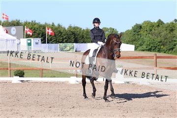 181449_bc_01R62_6320.JPG