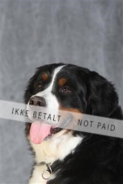 130054_le_ 03_0334.JPG