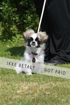 130370_se_02_IMG_6044.JPG
