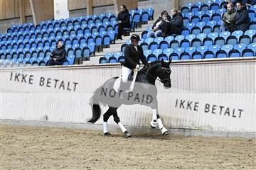 182241_kbb_01_Z093331.JPG