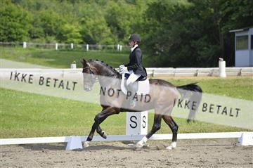 140040_abo_01__AB17226.JPG