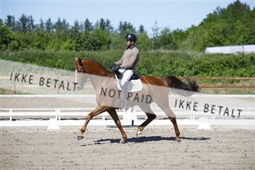 181449_kbb_01_6II9163.JPG