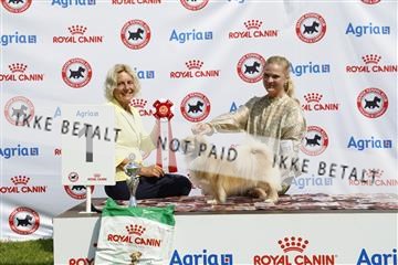 181564_kar_01__62_7002.JPG