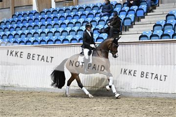182241_kbb_01_Z094684.JPG
