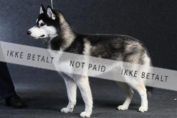 132082_le_ 01_IMG_0095.JPG