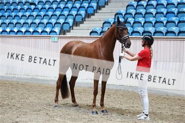 181887_mtp_05_R62_9784.JPG