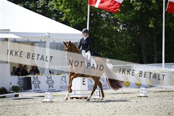 181449_kbb_02_6II0440.JPG