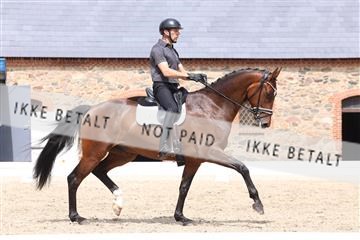 181698_BC_01_00275.JPG