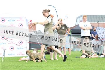 181564_rin_01_R62_8726.JPG