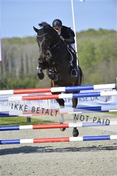 139644_abo_02__AB14640.JPG
