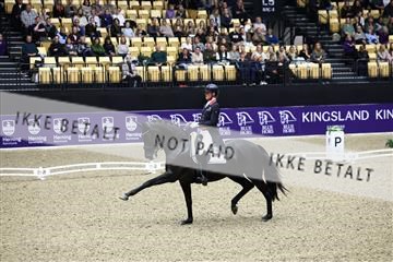 182194_avh_05_2649.JPG