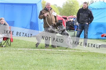 134871_ms_04_IMG_9860.JPG
