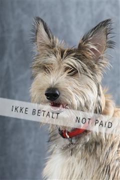 129608_le_ 01_0208.JPG