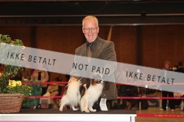 124188 _tl_02_IMG_9242.JPG