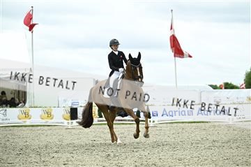 181449_kbb_03_Z091947.JPG