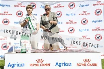 181564_ch_01__62_9243.JPG