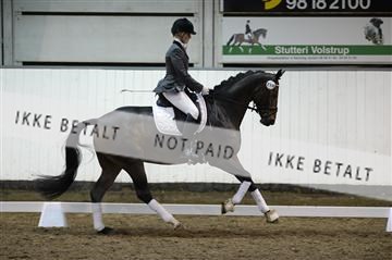 141472_abo_01__AB15811.JPG