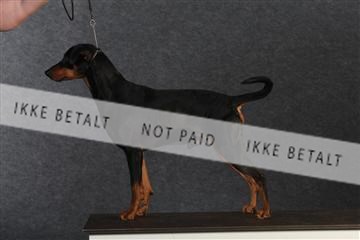 132082_le_ 01_IMG_0770.JPG