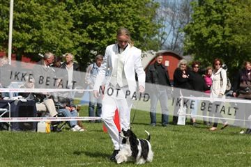 134871_ms_04_IMG_0300.JPG