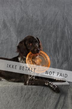 128239_le_kort_ 01_0051.JPG