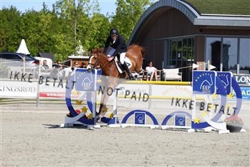 181436_avh_02_3570.JPG
