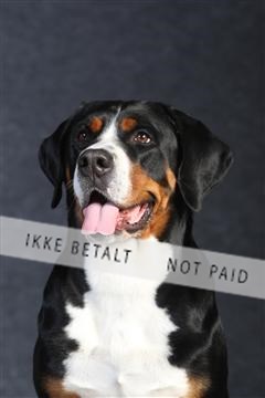 132082_le_ 01_IMG_0030.JPG