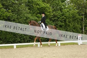 139835_sg_01_IMG_7341.JPG