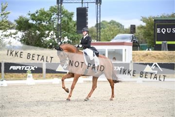 166078_kuo_02_D05_9061.JPG