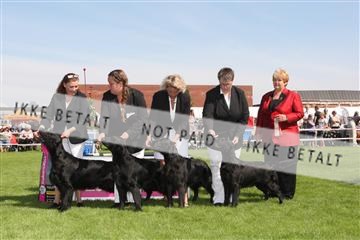 130370_se_02_IMG_6318.JPG