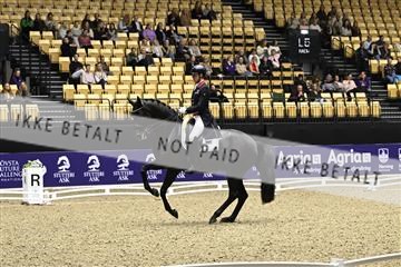 182194_kbb_03_Z090186.JPG
