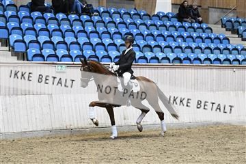 182241_kbb_01_Z093441.JPG