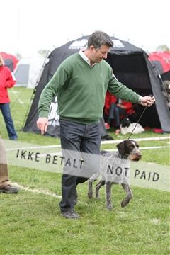 134871_ms_04_IMG_9921.JPG