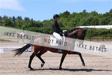 181449_bc_01R62_5526.JPG