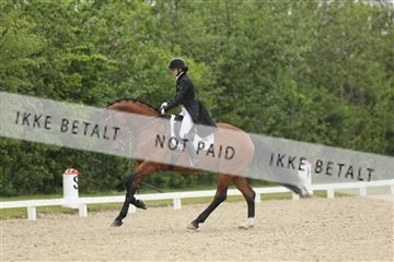 139835_sg_01_IMG_8304.JPG