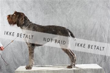 128239_le_ 06_0012.JPG