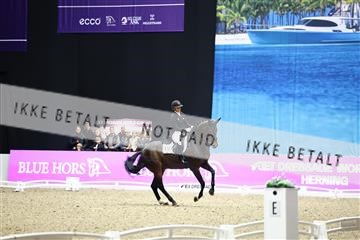 182194_avh_07_4226.JPG