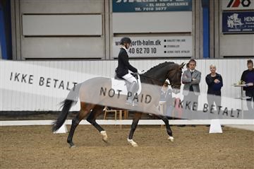 140040_abo_02__AB18410.JPG