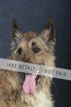 132082_le_ 01_IMG_0908.JPG