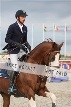 152762_nn _05_IMG_7544.JPG