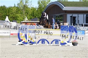 181436_avh_02_3649.JPG