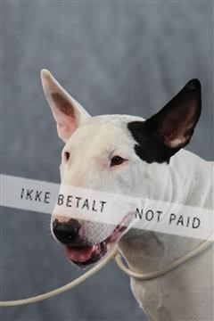 128239_le_kort_ 01_0265.JPG