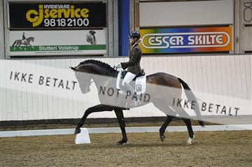 140040_abo_02__AB18986.JPG
