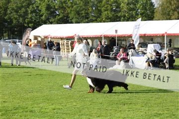 182009_kar_01__62_7412.JPG