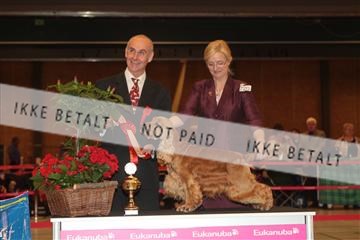 124188 _tl_02_IMG_9246.JPG