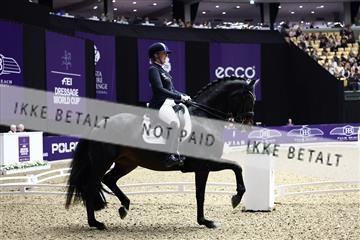 182194_avh_06_3191.JPG