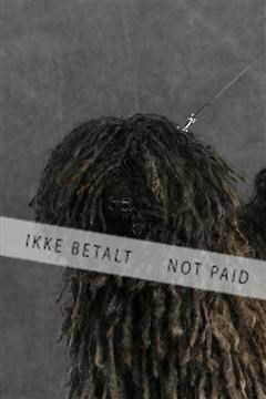 5493_sme _02__MG_9666.JPG